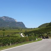 weinlandschaft bei kaltern motorrad