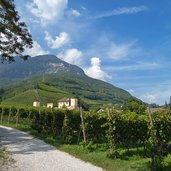 tramin schloss rechtental weinberge