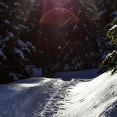 Ueberetscherhuette Schneeschugspuren im Wald