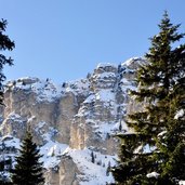 Ueberetscherhuette Blick durch Baeume auf Roen