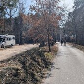 parkplatz montiggl fruehling