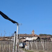 nach weinreben kommen apfelwiesen die ins dorf montiggl zurueckfuehren