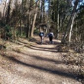 RS fruehlingstal maerzenbecher wanderweg wanderer