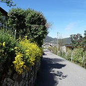 RS fussweg sportzone altenburger wald nach kaltern st anton