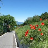 RS radweg eppan bei frangart