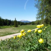 RS prati alle regole di malosco primavera