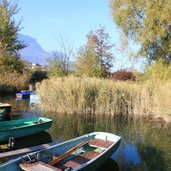 RS Kaltern Kalterer See Herbst