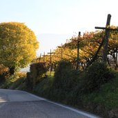 RS Kaltern Kalterer See Herbst