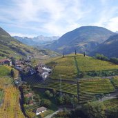 RS bozen weinlandschaft herbst st magdalena bei rentsch