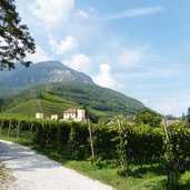 RS tramin schloss rechtental rechtenthal weinberge