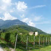 RS tramin schloss rechtental rechtenthal weinberge