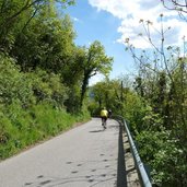 RS radweg zwischen gmund und klughammer