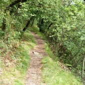 PeerRS C weg a soell tramin und zum see wald