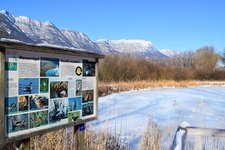 Kalterersee Winter fr