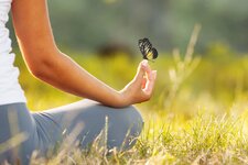 harmonie natur schmetterling relax yoga