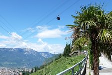 RS rittner seilbahn und palme