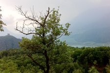 RS unterberg montiggler wald blick auf kalterer see schlechtwetter leuchtenburg