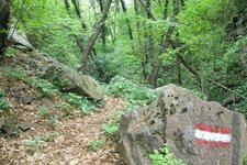 RS Kaltern Troepfltal Markierung Weg wandern RD