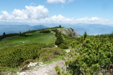 RS sentiero sul monte roen