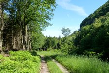 RS forstweg valplon kalterer unterberg