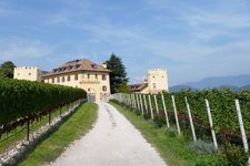 RS tramin schloss rechtental weinberge