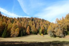 RS mendel prinzwiesen herbstwald