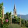 RS tramin kirche pfarrkirche turm weinberg rosen