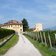 RS tramin schloss rechtental weinberge