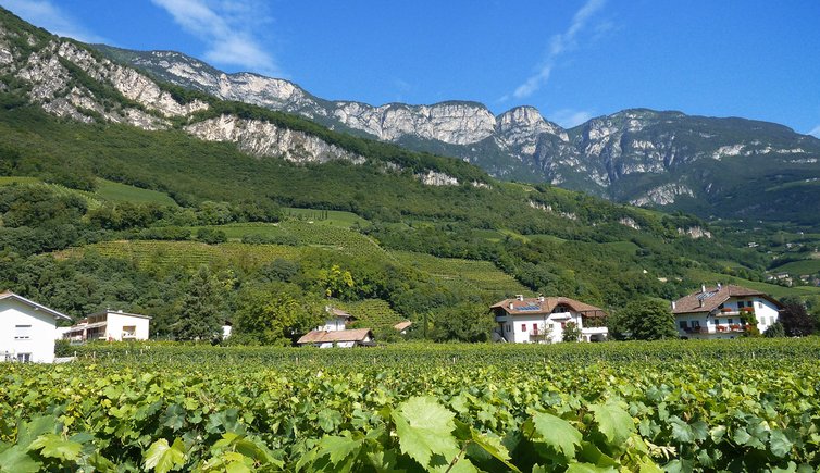 margreid umgebung weinroute sued radtour