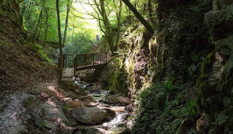 rastenbachklamm bach bruecke