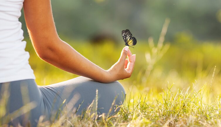 harmonie natur schmetterling relax yoga