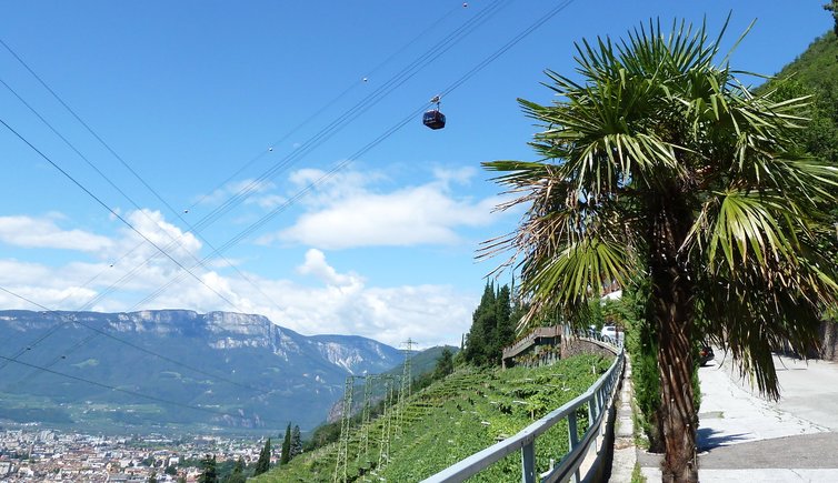 RS rittner seilbahn und palme