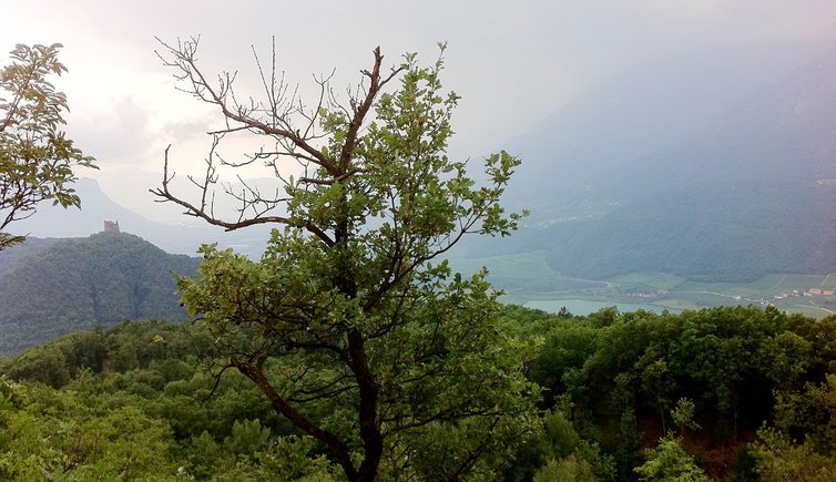 RS unterberg montiggler wald blick auf kalterer see schlechtwetter leuchtenburg