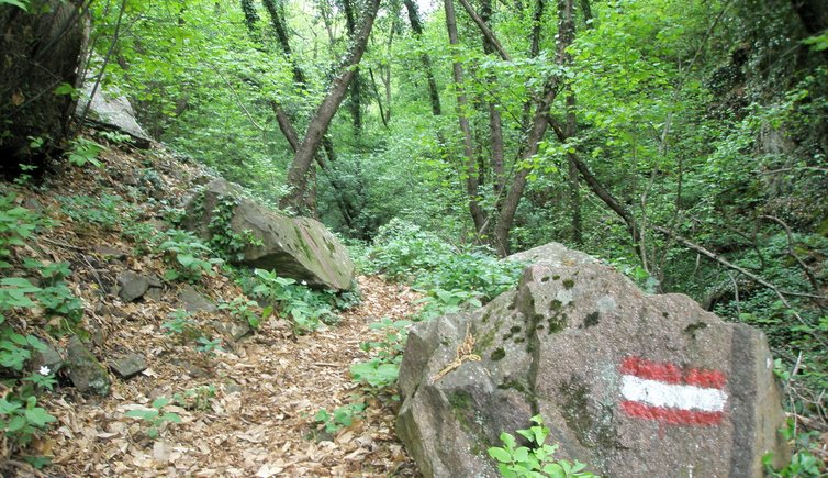 RS Kaltern Troepfltal Markierung Weg wandern RD