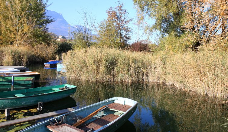 RS Kaltern Kalterer See Herbst