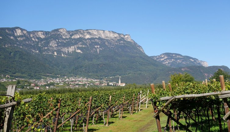 RS weinlandschaft bei kaltern