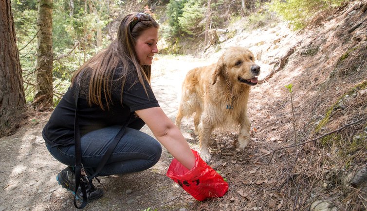 RS TM hund cane wald sackerl hundekot