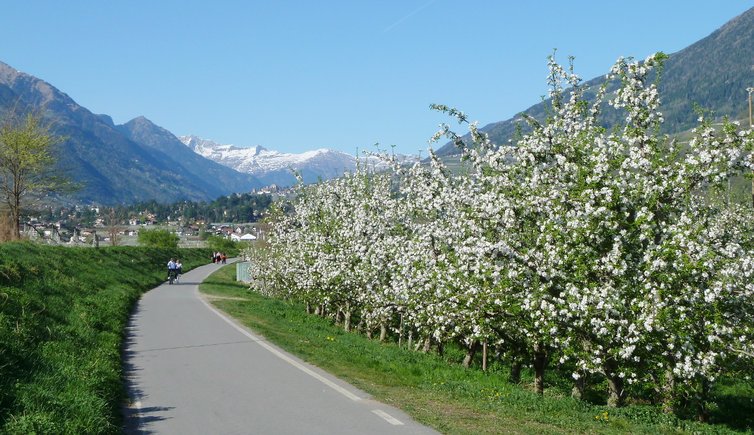 RS etschtal radweg bei sinich meran