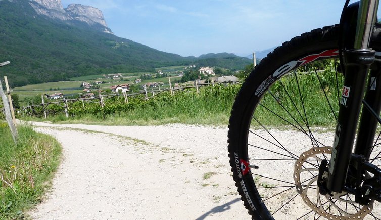 RS weg gleif steinegger mendel eppan fahrrad mtb reifen