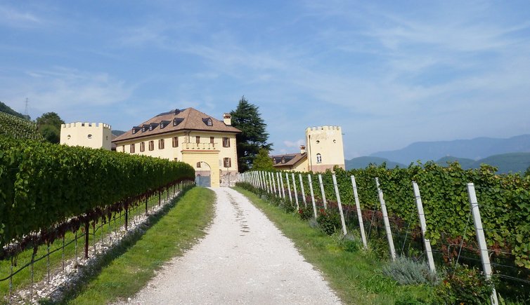 RS tramin schloss rechtental weinberge