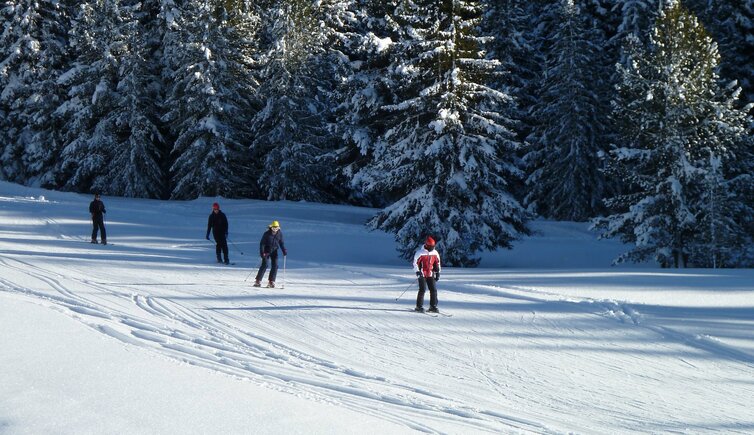 pistenregeln kalterersee jochgrimm